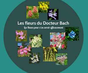 Programme fleurs de Bach, les bases